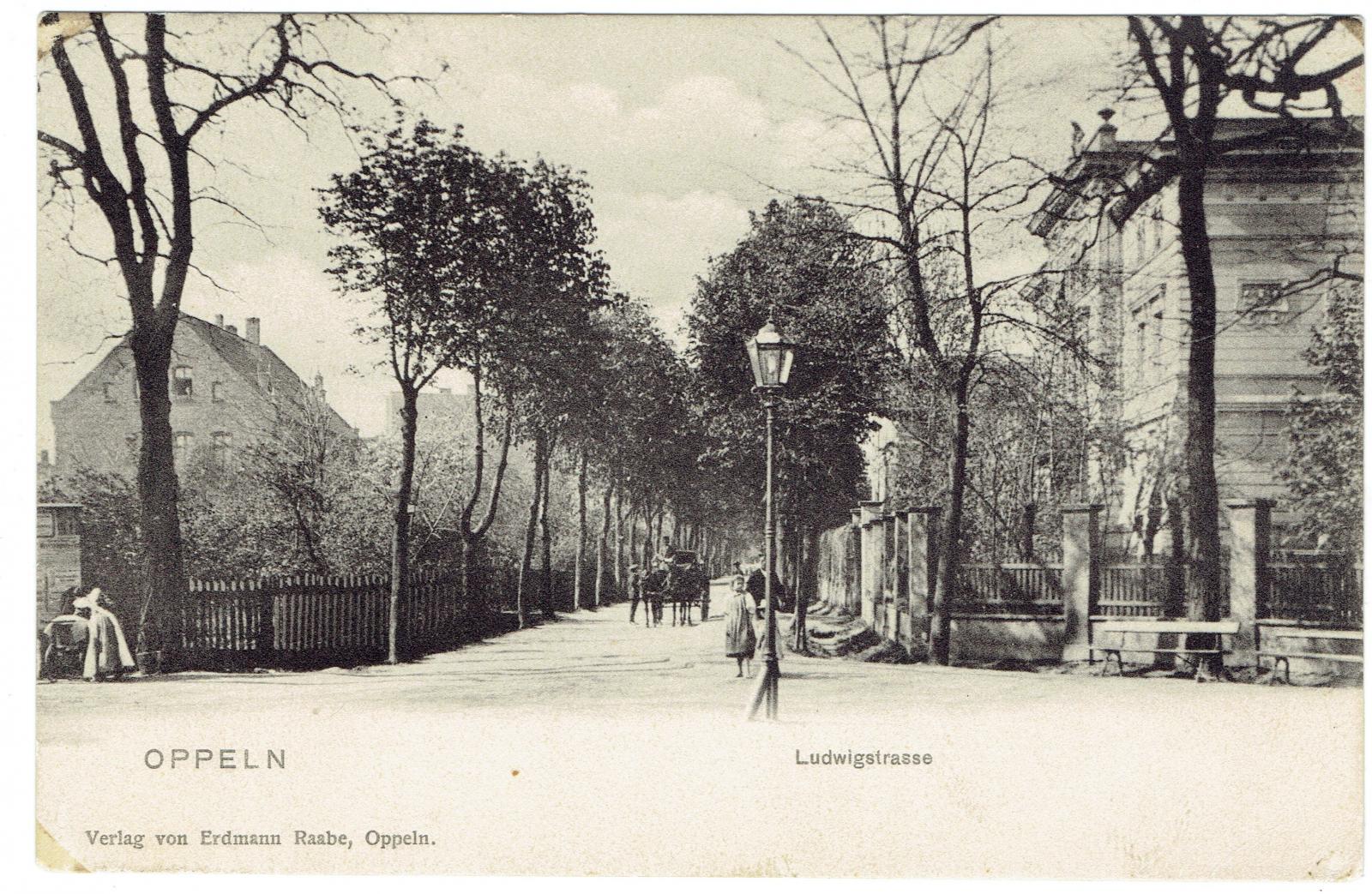 Ludwigstrasse (obecnie ul. Powstańców Śląskich) – willowa ulica na Wyspie Pasieka