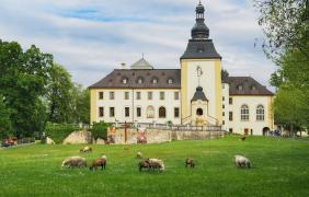 fot. Przemysław Supernak, SuperGlob