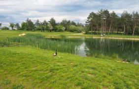 fot. Przemysław Supernak, SuperGlob