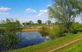 fot. Przemysław Supernak, SuperGlob